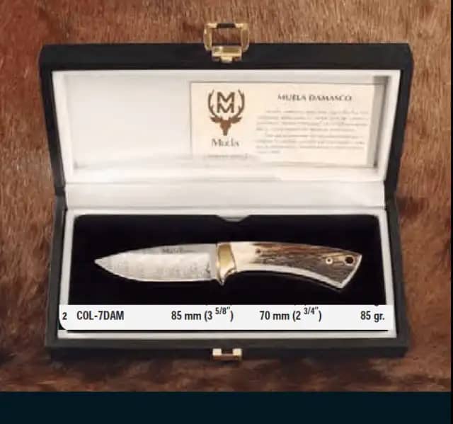 CUCHILLO MUELA COLIBRÍ-7DAM LUJO - Espadas y Más