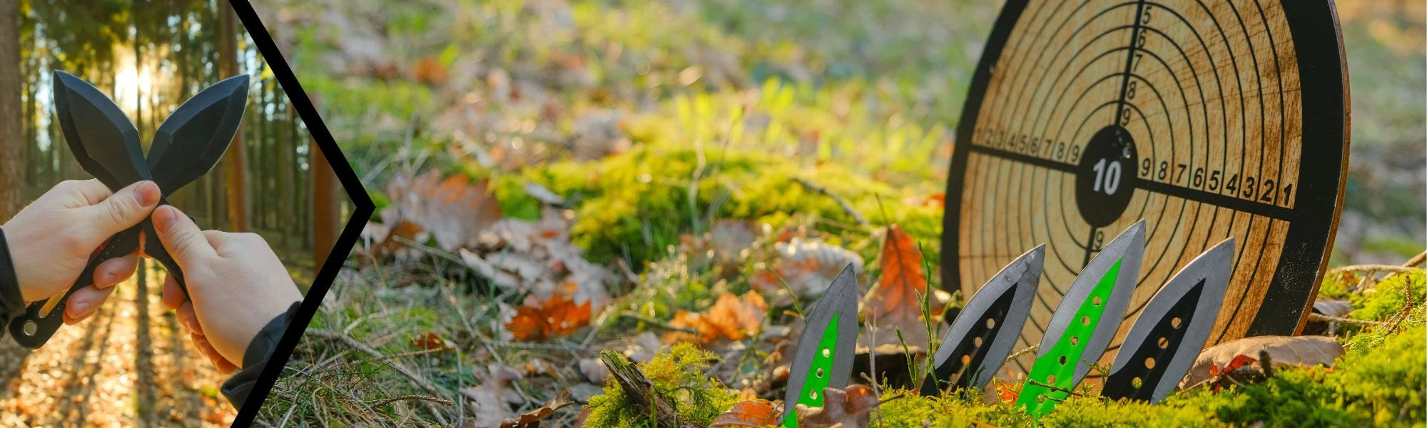 imagen principal de la colección armas para lanzar