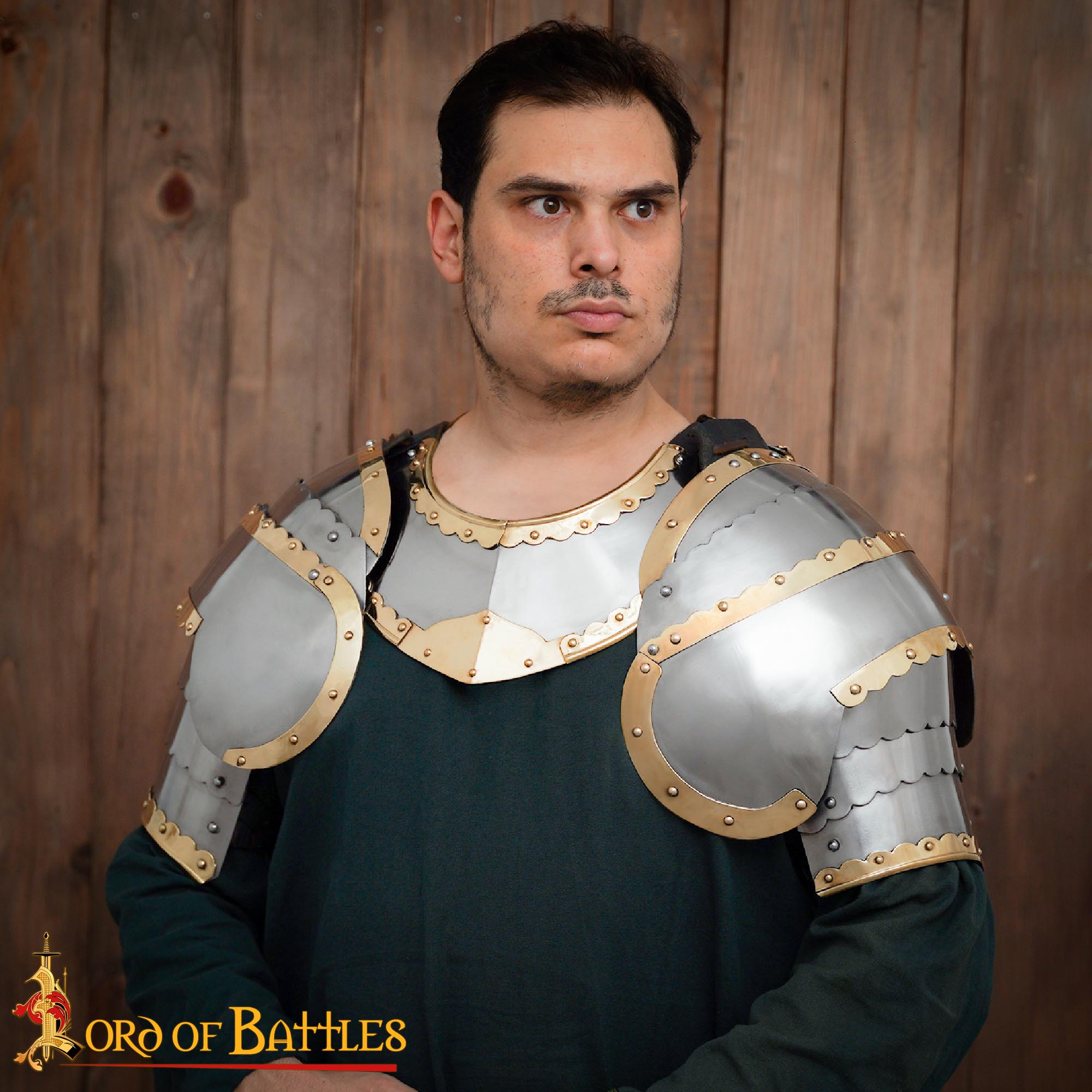 Húsar Medieval Pauldrons Armadura de Hombro de Acero Forjado a Mano con Adornos de Latón - Imagen 2