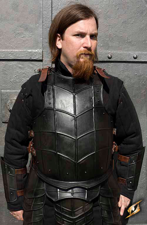 Imagen única de: Armadura Completa De Drake Oscuro