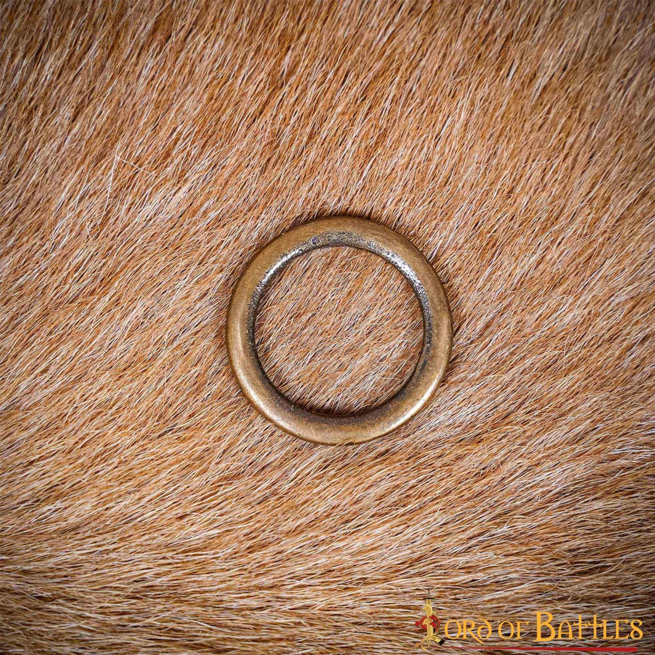 Hebilla Anillo Latón Antiguo Lazo Cinturón Accesorio Funcional Juego de 5 Piezas - Imagen 5