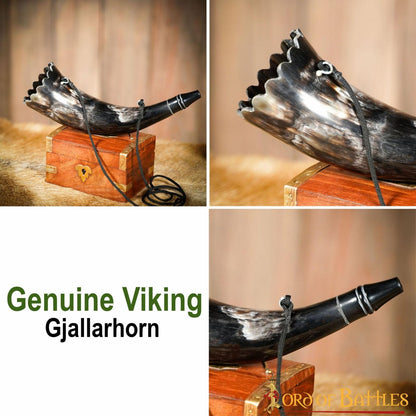 Cuerno Soplador Vikingo Hecho a Mano - Cuerno de Buey Pulido para Caza y Señales con Cuerda de Transporte - Imagen 11