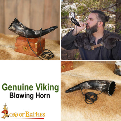 Cuerno Soplador Vikingo Hecho a Mano - Cuerno de Buey Pulido para Caza y Señales con Cuerda de Transporte - Imagen 7