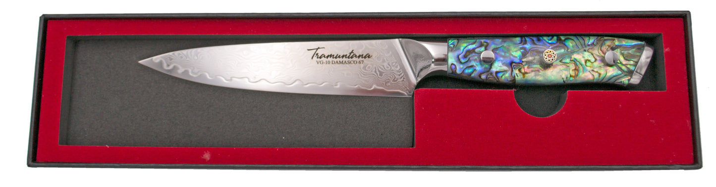 cuchillo cocina