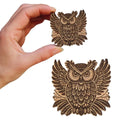 Owl Magnet 1