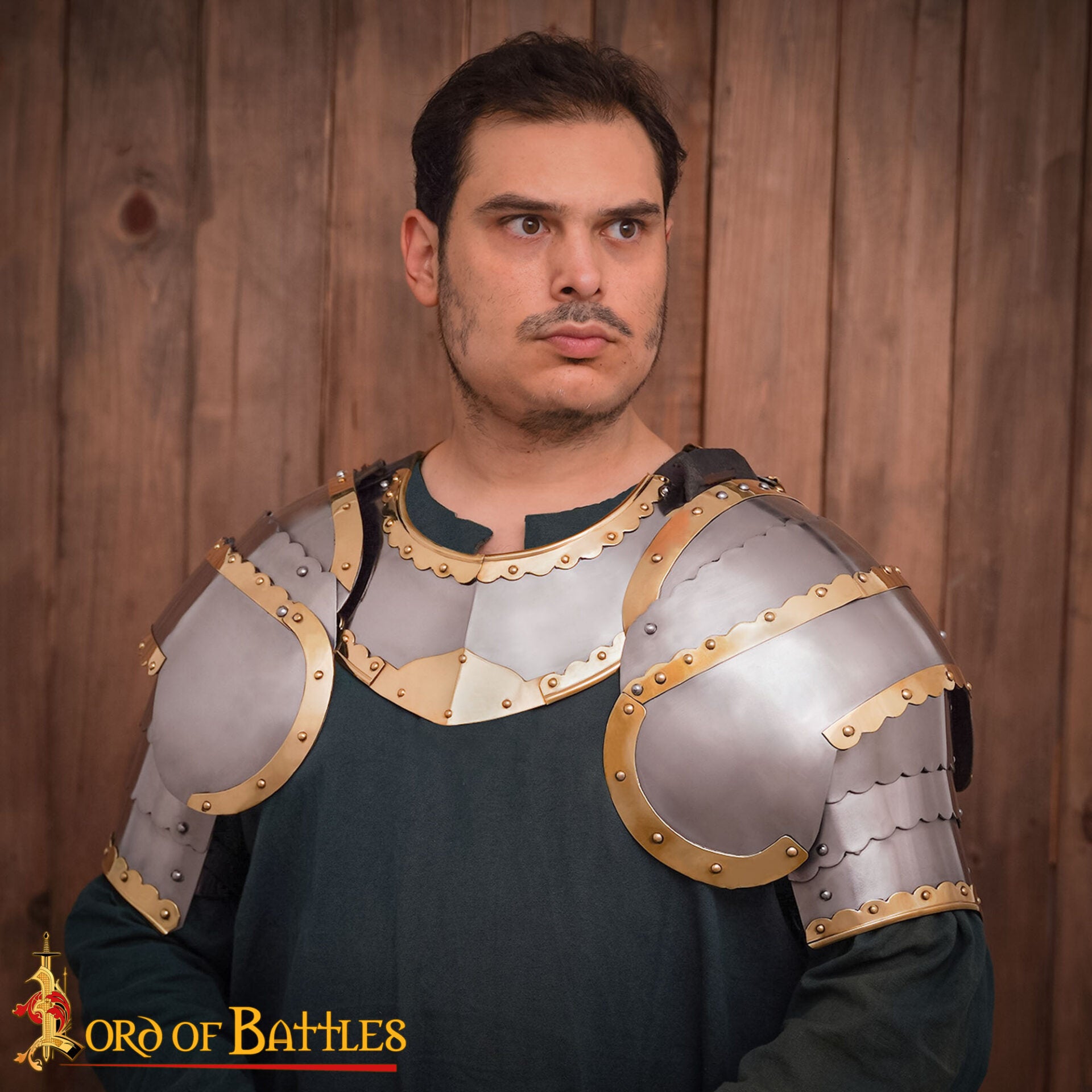 Húsar Gorget Armadura de Placas con Latón de Calibre 16 - Imagen 2