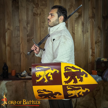 Escudo Galés Decorativo con León Rampante Escudo de Armas de Owain Glyndwr - Imagen 6