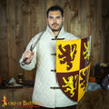 Escudo Galés Decorativo con León Rampante Escudo de Armas de Owain Glyndwr - Imagen 1