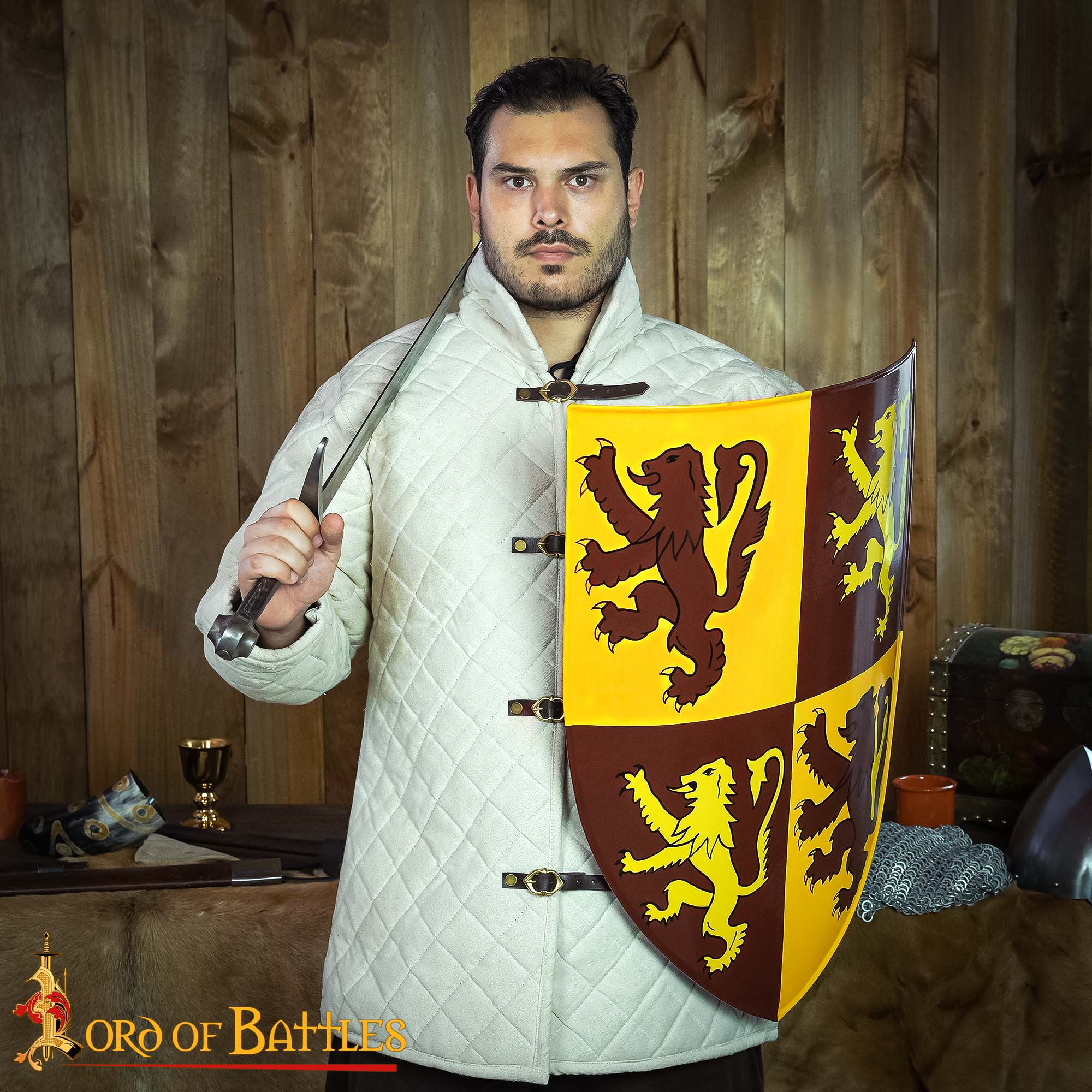 Escudo Galés Decorativo con León Rampante Escudo de Armas de Owain Glyndwr - Imagen 1