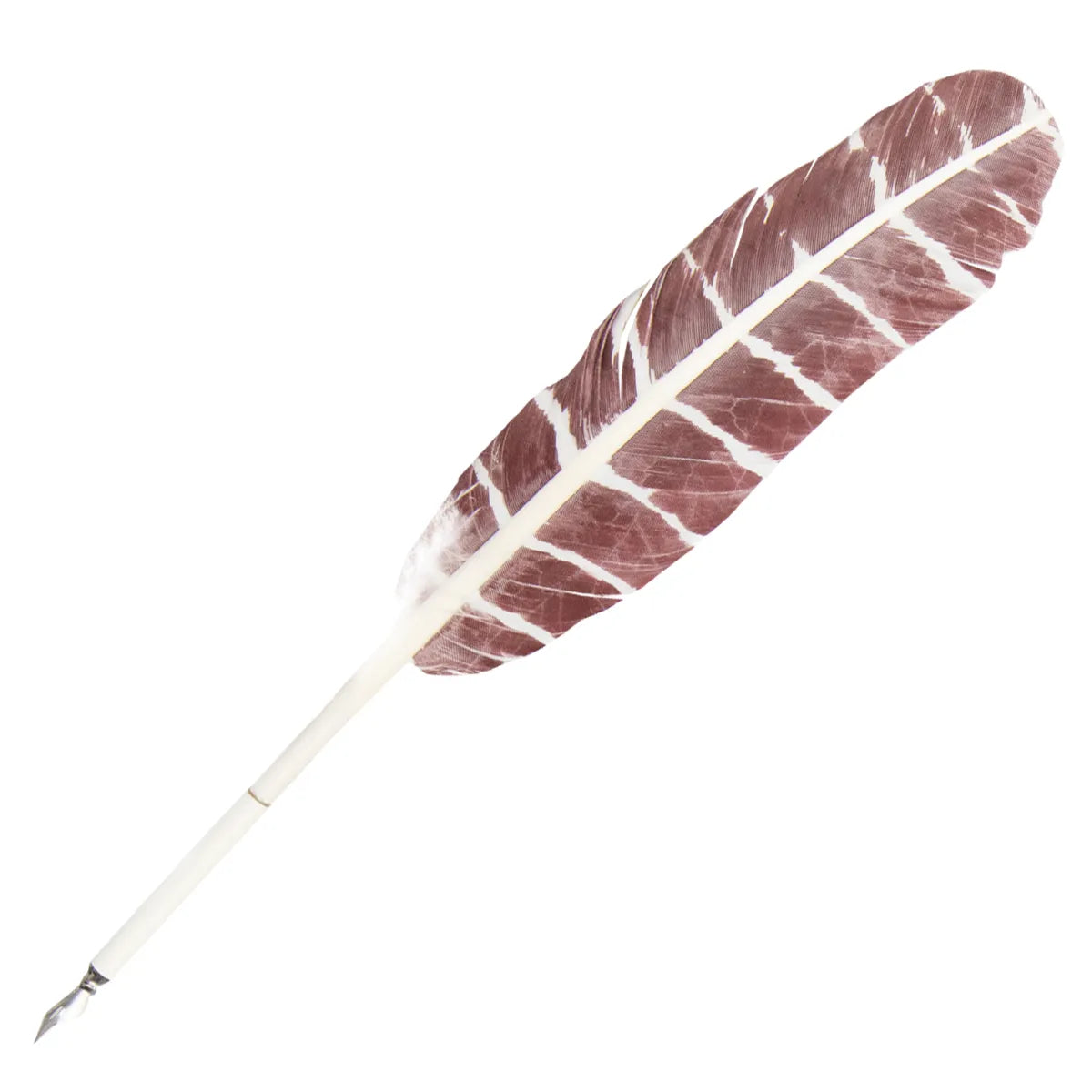 Pluma de Hogwarts Harry Potter con caja