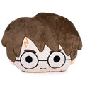 Imagen 1 de Cojin Peluche Harry Potter