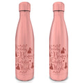 Imagen de Botella Metal Princesas Disney parte de nuestra colección en Espadas y más, sitio oficial.