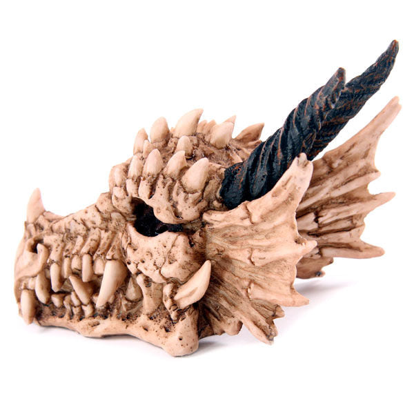 Imagen 1 de Hucha Calavera Dragon