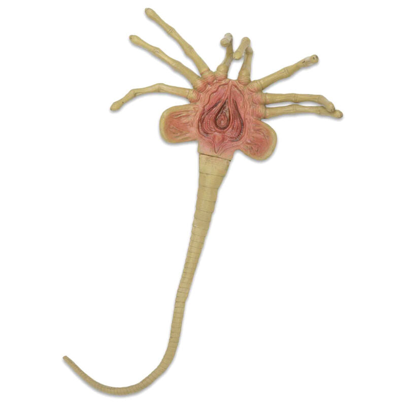 Imagen de Replica Facehugger Aliens 105Cm parte de nuestra colección en Espadas y más, sitio oficial.