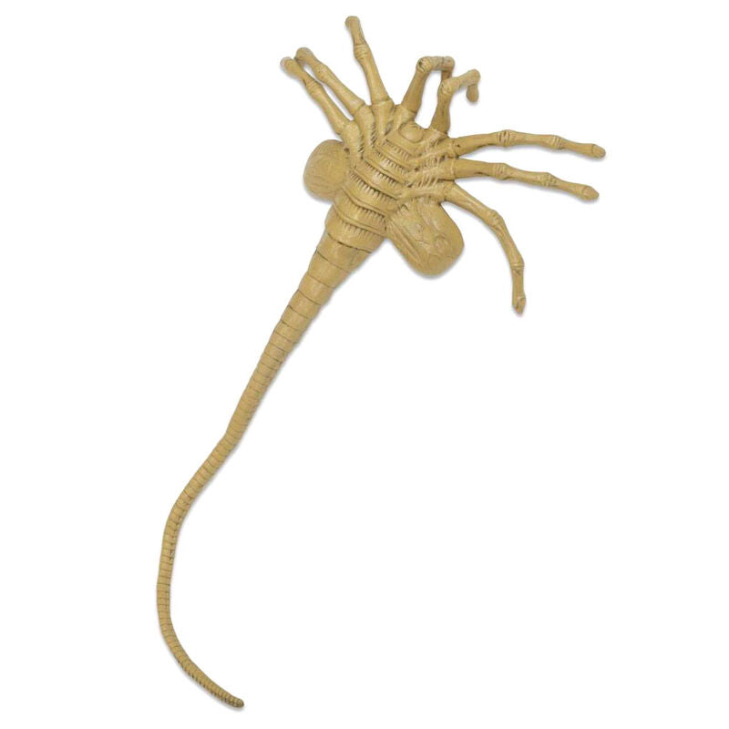Imagen de Replica Facehugger Aliens 105Cm parte de nuestra colección en Espadas y más, sitio oficial.