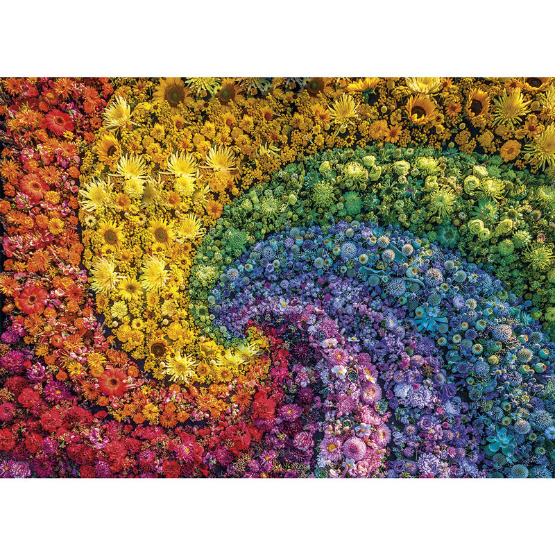 Imagen 1 de Puzzle Espiral 1000Pzs