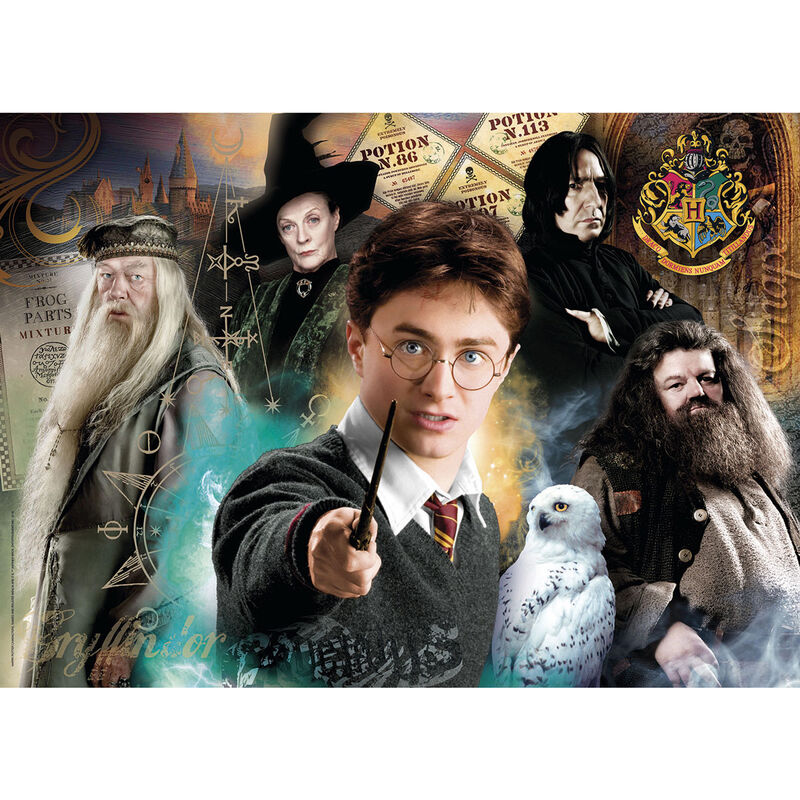 Imagen 1 de Puzzle Harry Potter 500Pzs