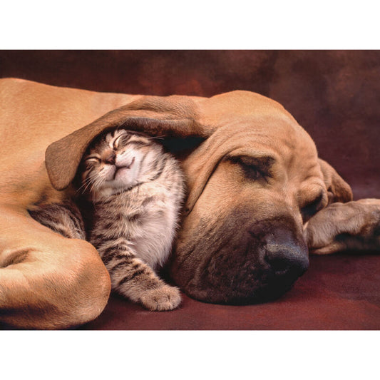 Imagen 1 - Puzzle Cuddles 500Pzs