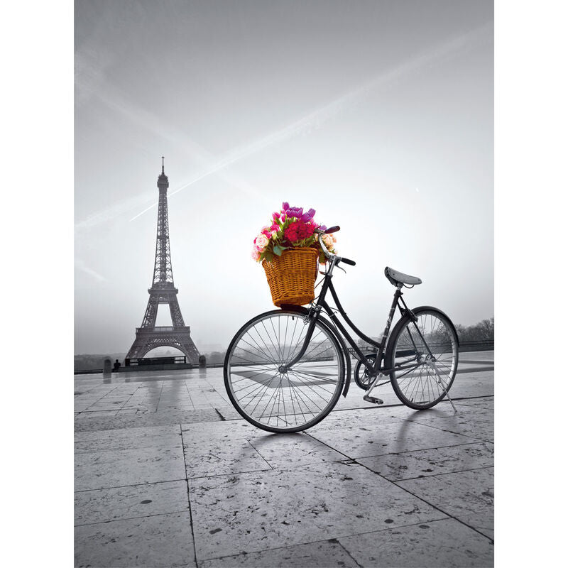Imagen 1 de Puzzle Paseo Romantico En Paris 500Pzs
