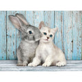 Imagen 1 - Puzzle Gato Y Conejo 500Pzs