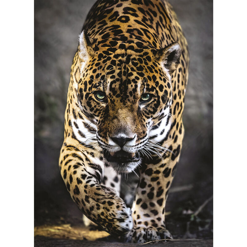 Imagen 1 - Puzzle Walk Of The Jaguar 1000Pzs