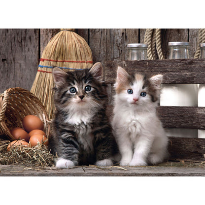 Imagen 1 de Puzzle Lovely Kittens 1000Pzs