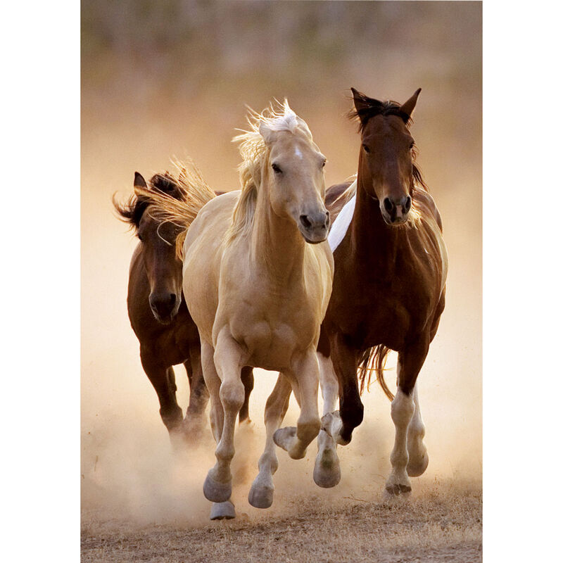Imagen 1 - Puzzle Running Horses 1000Pzs