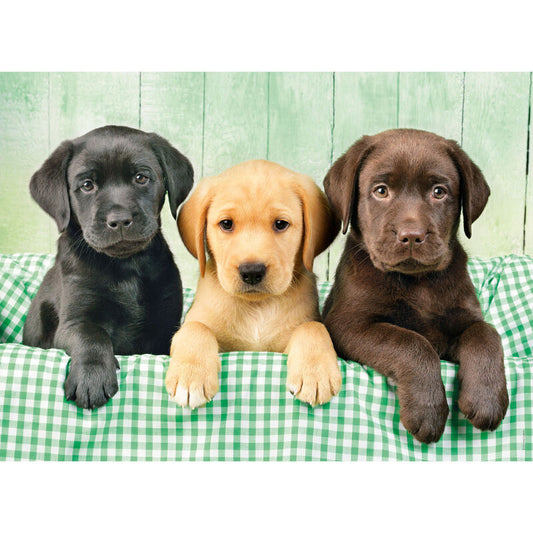 Imagen 1 de Puzzle Los Tres Labradores 1000Pzs