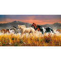 Imagen 1 - Puzzle Band Of Thunder 13200Pzs