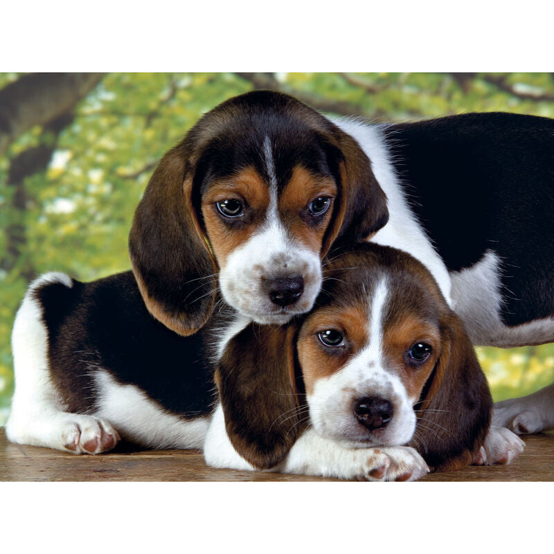Imagen 1 - Puzzle Juntos 500Pzs