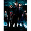 Imagen 1 - Poster Cristal Grupo Harry Potter
