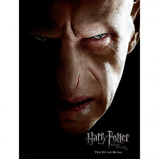 Imagen 1 - Poster Cristal Voldemort Harry Potter