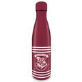 Imagen de Botella Metal Hogwarts Harry Potter parte de nuestra colección en Espadas y más, sitio oficial.