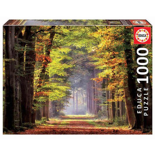 Imagen 1 de Puzzle Paseo Otoñal 1000Pzs