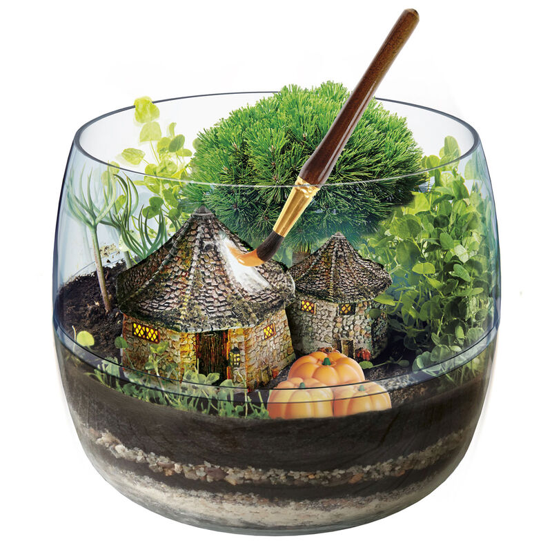 Imagen 2 de Terrarium Harry Potter