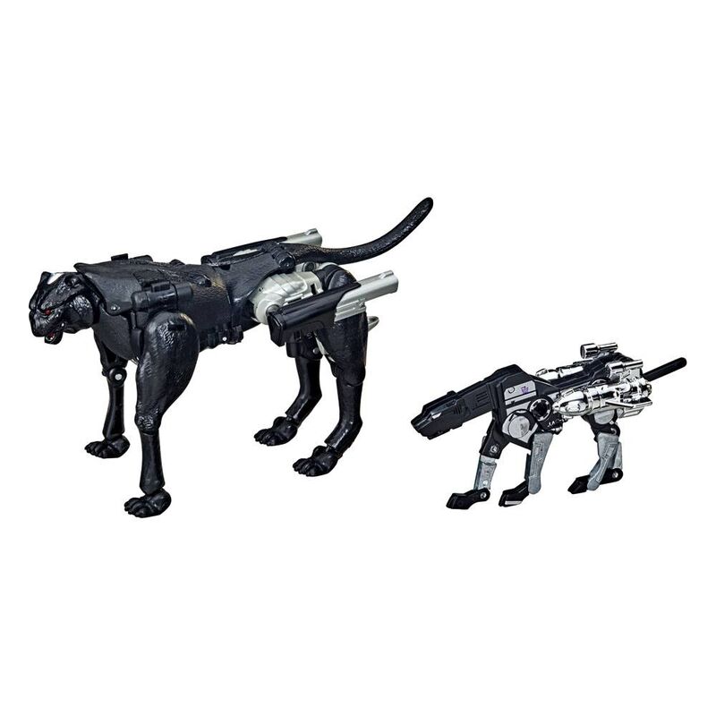 Imagen 3 de Blister Figura Covert Agent Ravage + Decepticon Forever Ravage War From Cybertron Transformers 15Cm