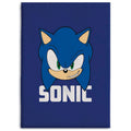 Imagen 1 de Manta Polar Sonic The Hedgehog
