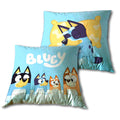 Imagen 1 - Cojin Bluey