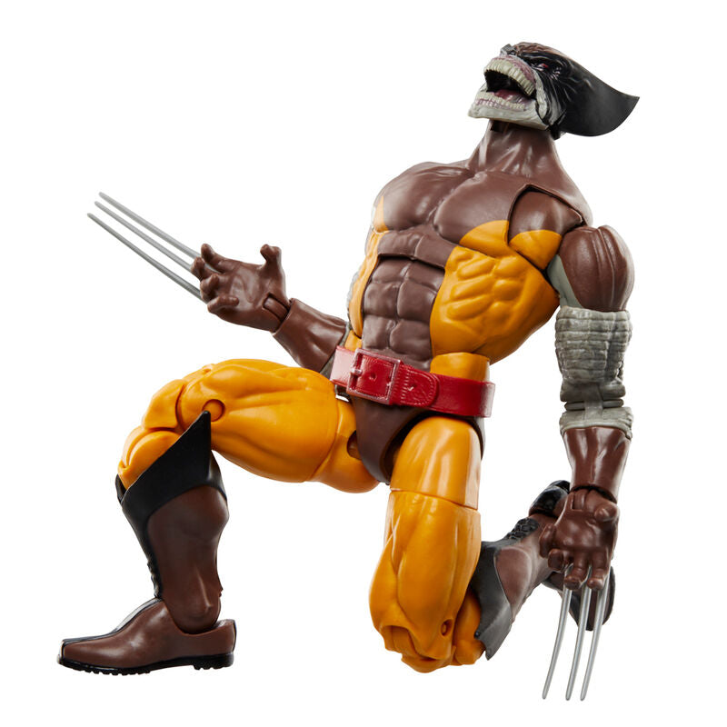 Imagen 5 de Blister Figuras Wolverine Legends Series Marvel 15Cm