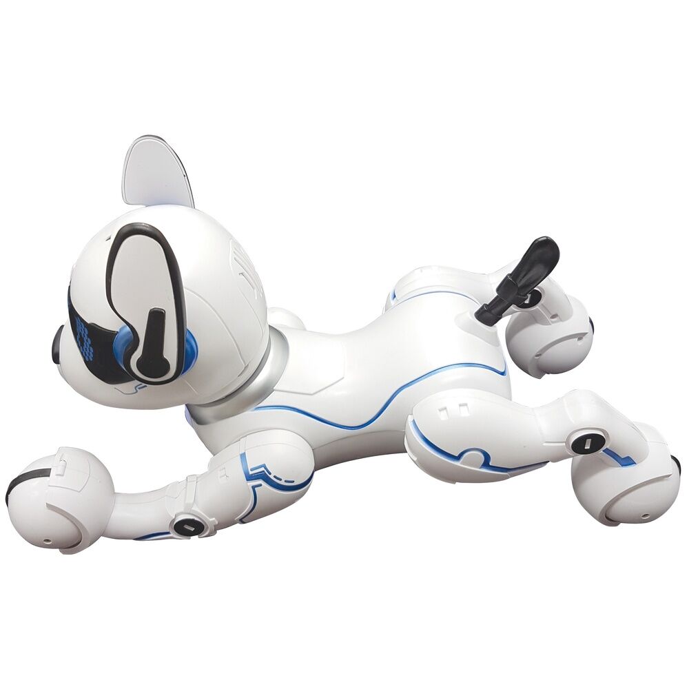 Imagen 6 - Robot Perro Programable