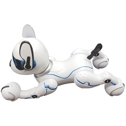 Imagen 6 - Robot Perro Programable