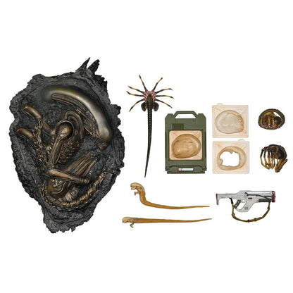 Imagen de Accesorios Alien Romulus 10Pzs parte de nuestra colección en Espadas y más, sitio oficial.