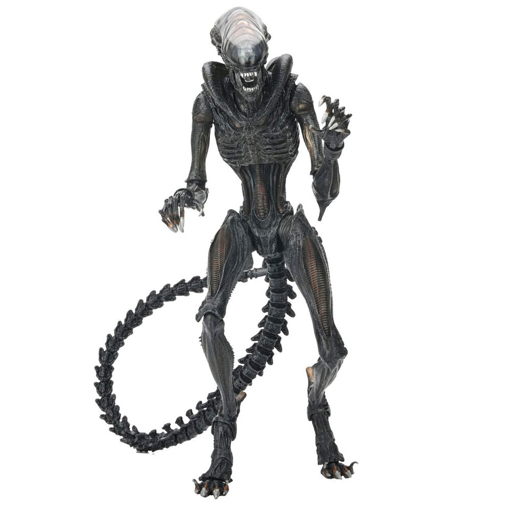 Imagen 3 - Figura Ultimate Scorched Xnomorph Alien Romulus 23Cm