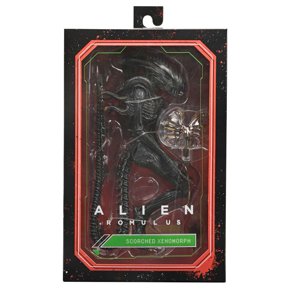 Imagen 1 - Figura Ultimate Scorched Xnomorph Alien Romulus 23Cm