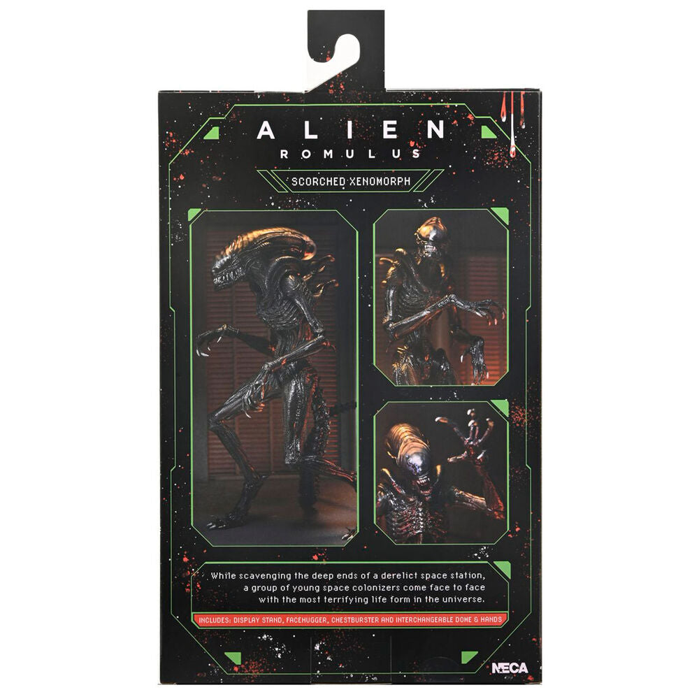 Imagen 5 - Figura Ultimate Scorched Xnomorph Alien Romulus 23Cm