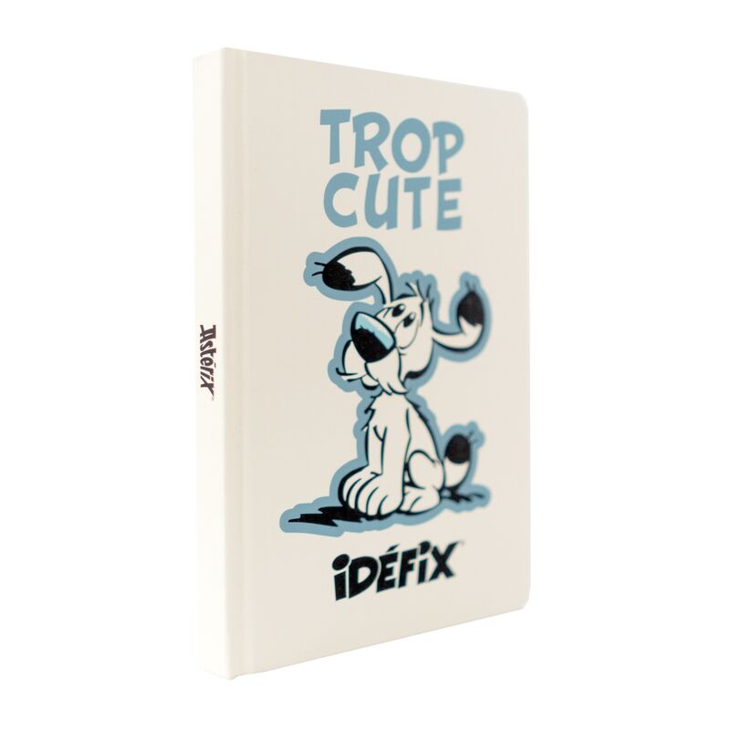 Imagen 1 de Cuaderno A5 Premium Ideafix - Asterix Y Obelix