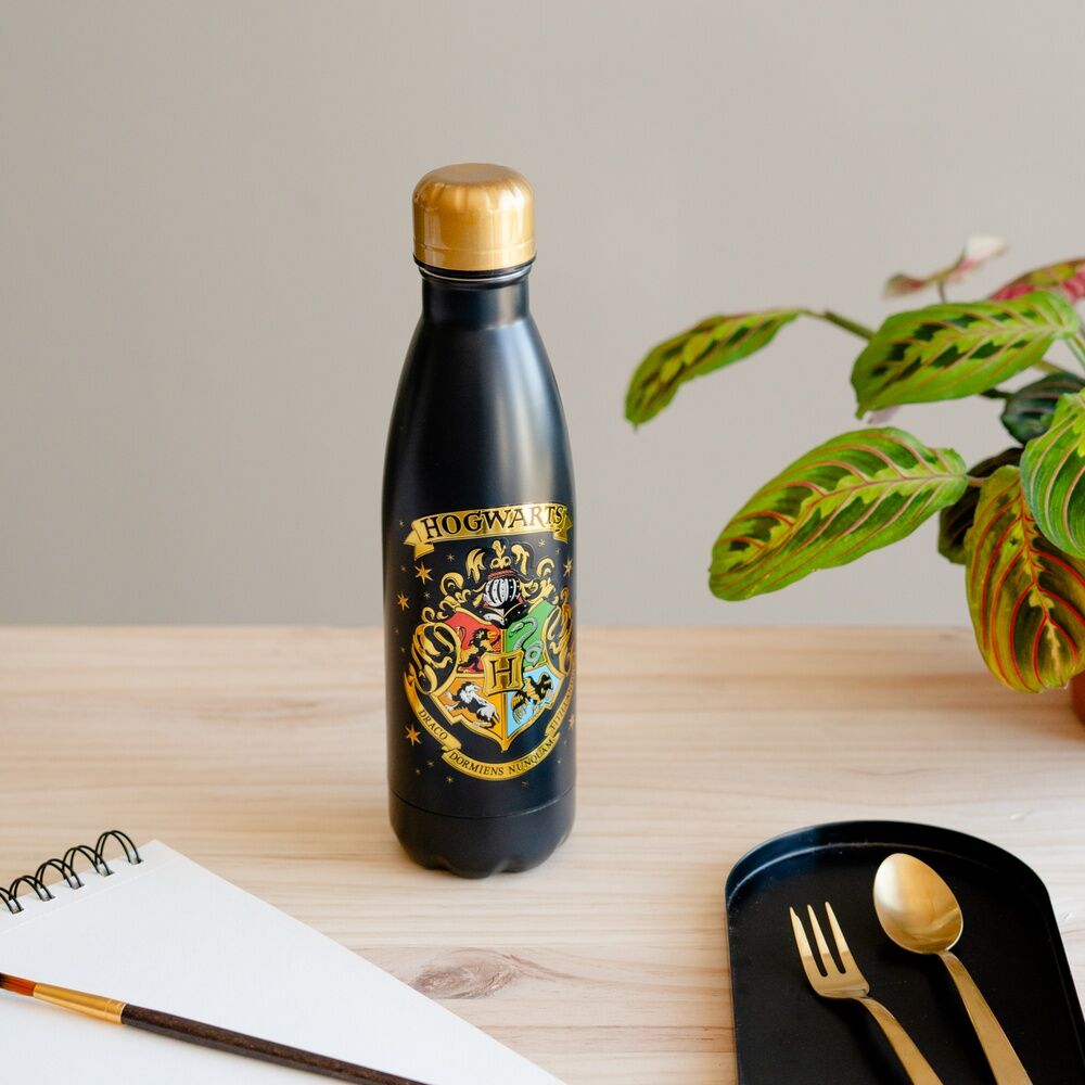 Imagen 5 - Botella Acero Inoxidable Hogwarts Harry Potter 500Ml