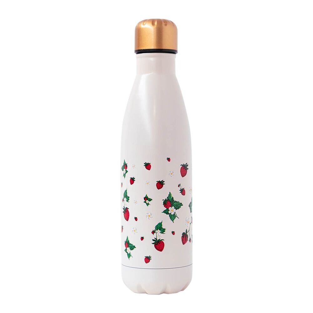 Imagen 1 - Botella Acero Inoxidable Ana Marin 500Ml