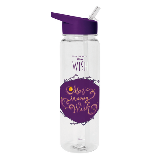 Imagen 1 de Cantimplora Wish Disney 700Ml