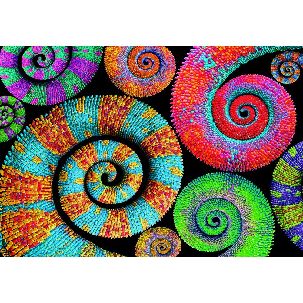 Imagen 2 - Puzzle Curly Tails Color Boom 500Pzs